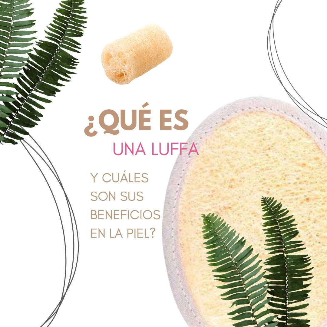 LUFFA : BENEFICIOS PARA TU PIEL