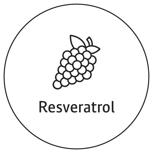 Resveratrol