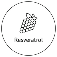 producto que contiene resveratrol